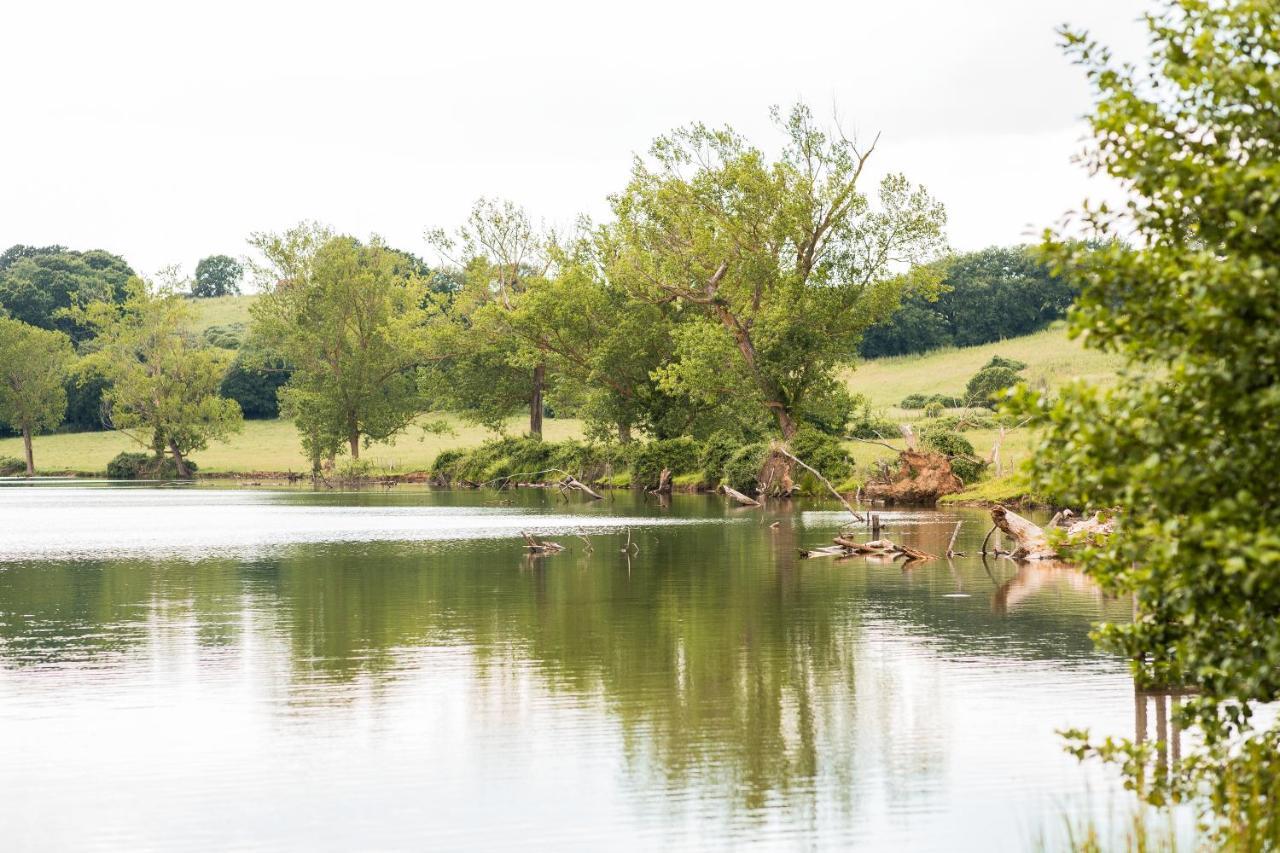 Agriturismo Lago Di Mezzano Valentano Zewnętrze zdjęcie